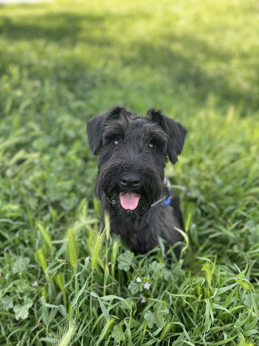 _alemelg's tweet photo. ¿Se puede ser más adorable? https://t.co/bK8VdzFew0