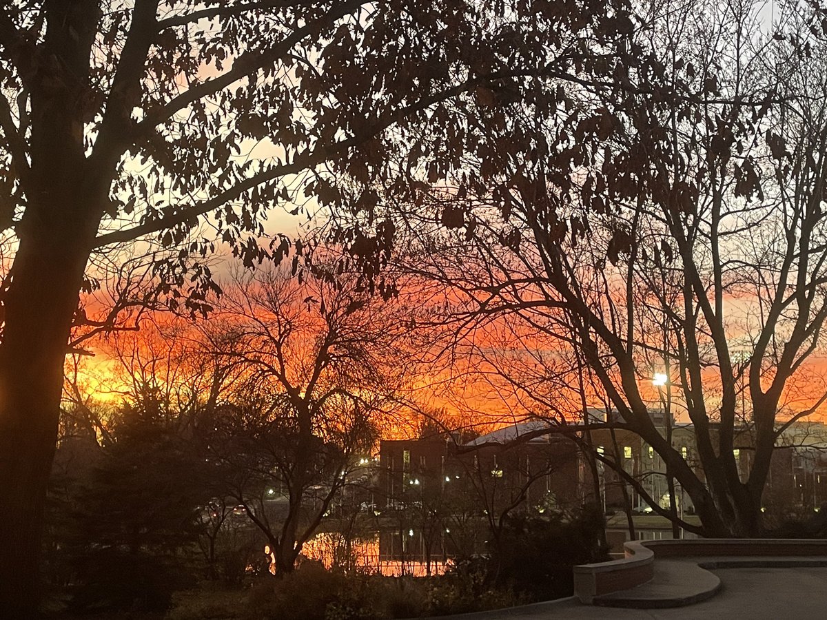 Dr. John Jasinski tweet media