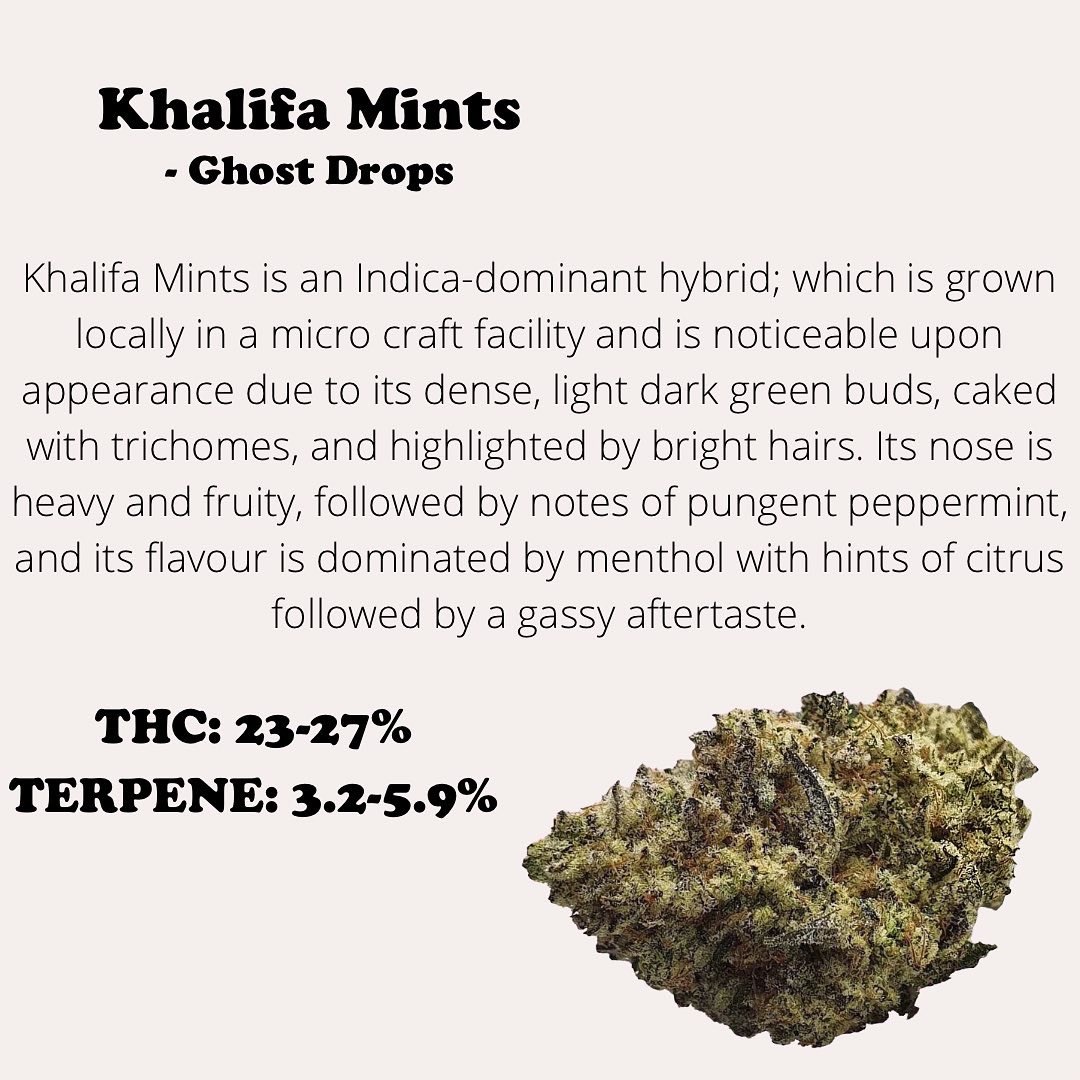 ForeverBudsTO's tweet photo. We’ve got the hottest new products coming in-stock at Forever Buds every week! https://t.co/KmD40fEVfI