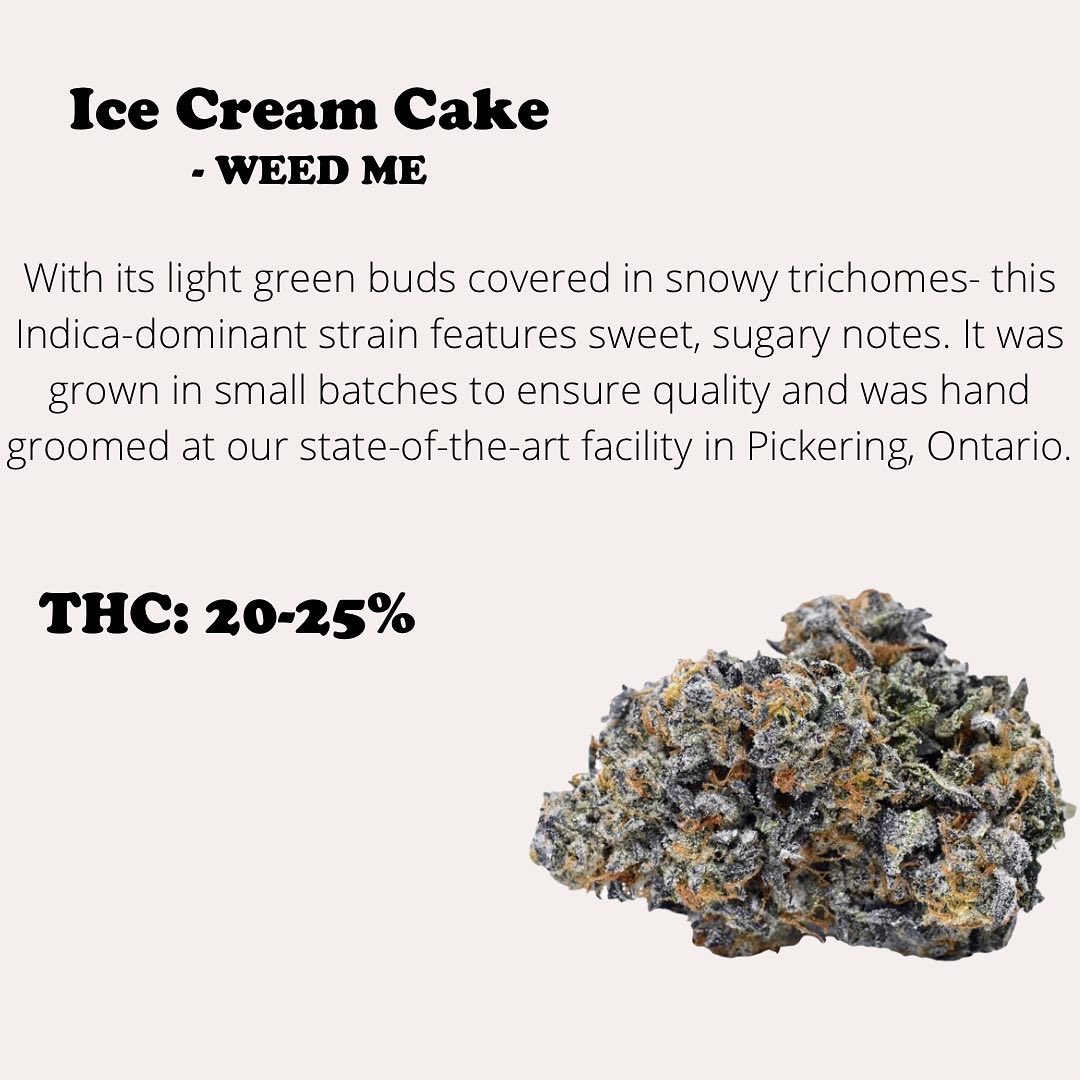 ForeverBudsTO's tweet photo. We’ve got the hottest new products coming in-stock at Forever Buds every week! https://t.co/KmD40fEVfI