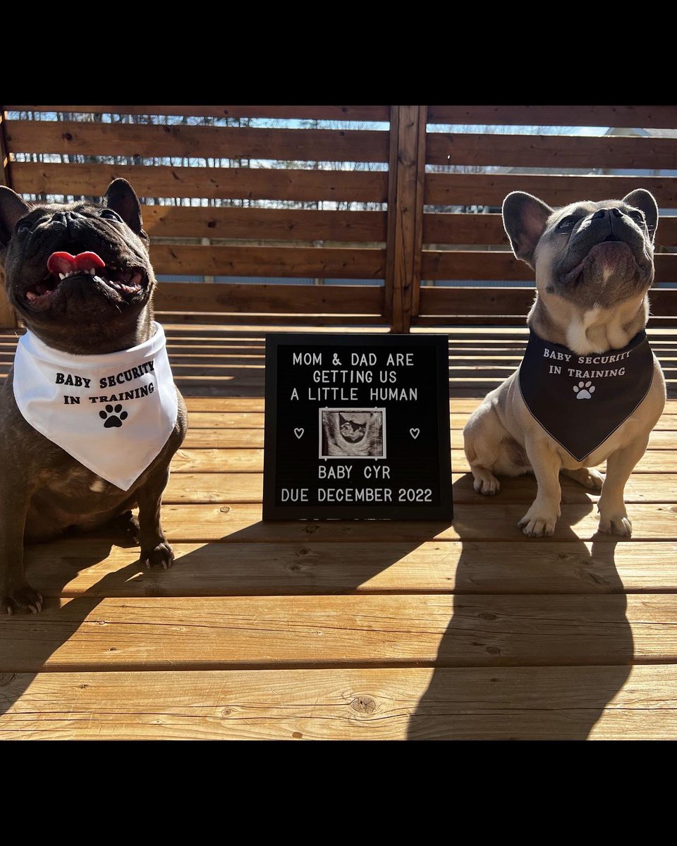 MellyLeger's tweet photo. Baby security in training 🐶🐶 https://t.co/3G67iLBvZb