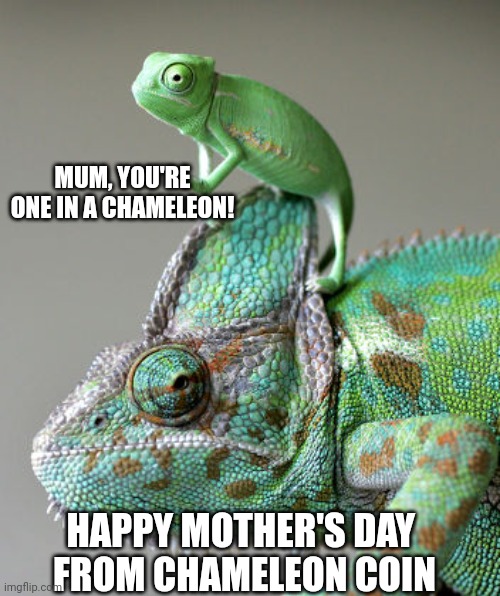 CoinChameleon's tweet photo. Happy Mother's Day from all at @CoinChameleon 🥰🥰🥰

#chameleoncoin #cryptocurrency #MothersDay #blockchain #oneinachameleon #MothersDay2022 #mum #Crypto https://t.co/bNPEY2Sxig