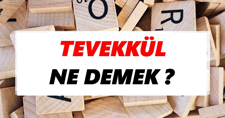Makaleyi okumak için tıklayınız hocabizde.com/tevekkul-ne-de…