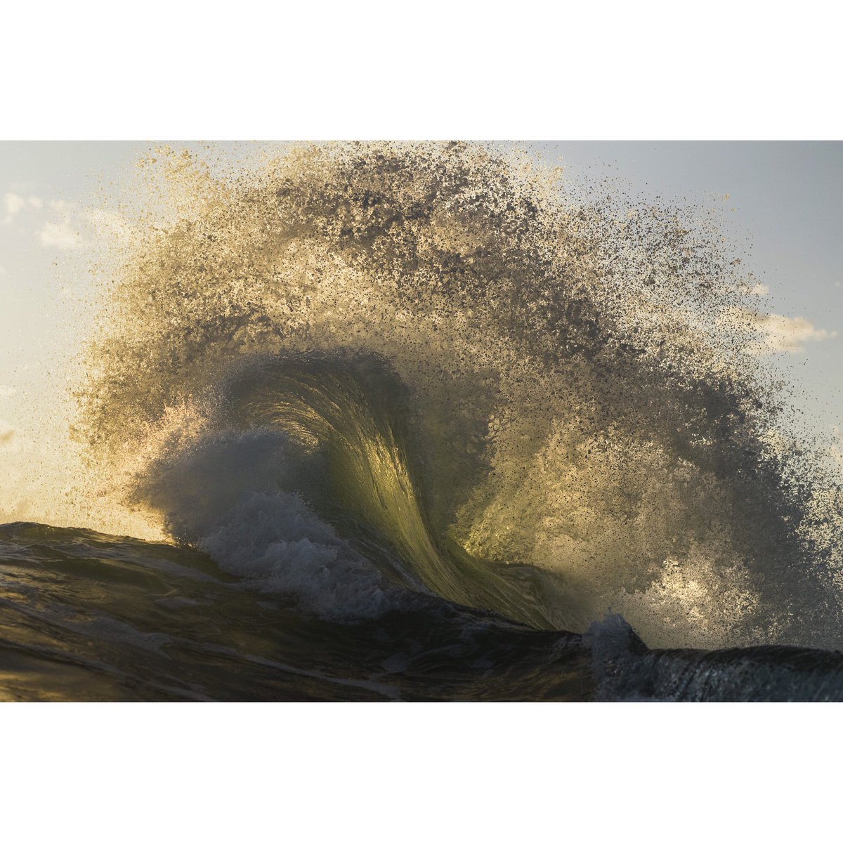 bytrentmitchell's tweet photo. GM! Some morning ocean fruit! https://t.co/codbD035Fi