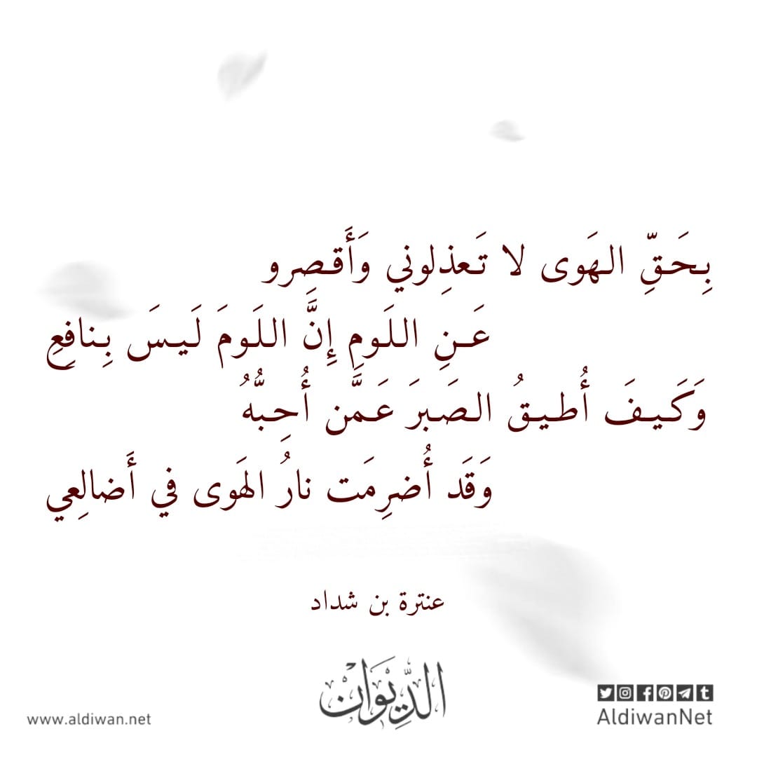 ابن جملاء (@abnjamla) on Twitter photo 