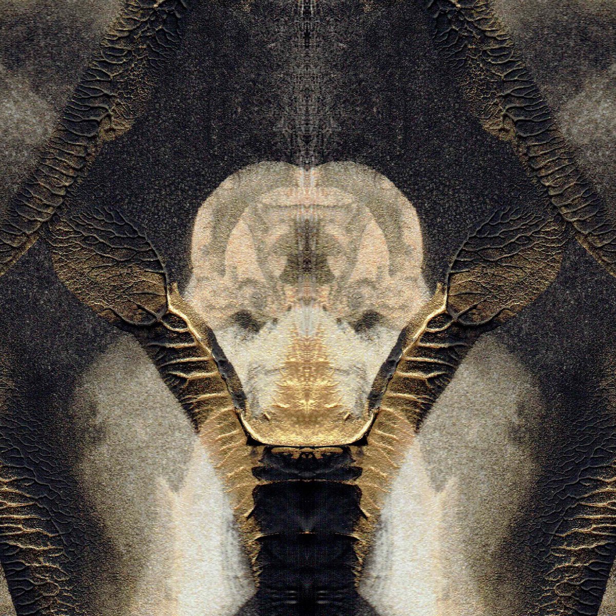 nft0tem's tweet image. 