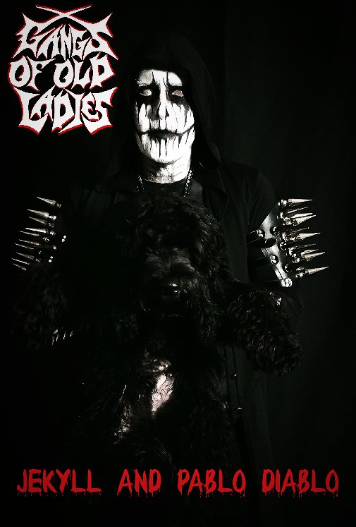 Gangs of Old Ladies tweet media