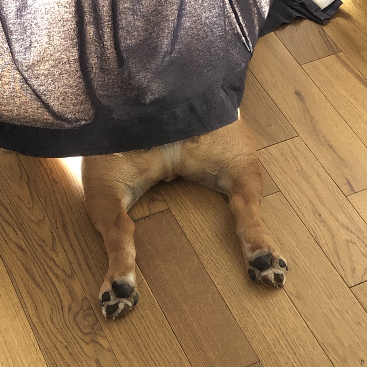 🦄 sarah mitchell tweet media