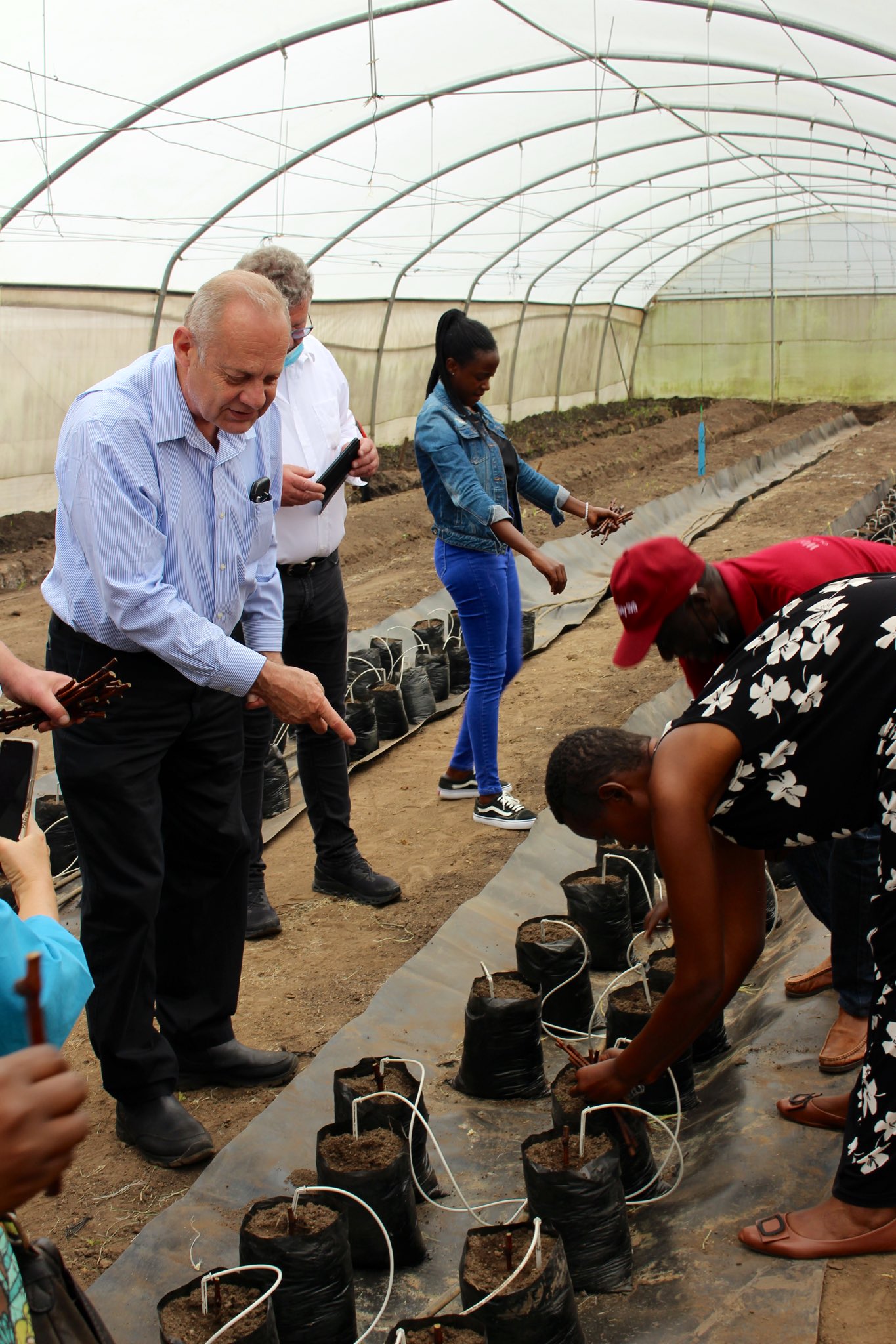 Ministry of Agriculture & Animal Resources |Rwanda on Twitter: 