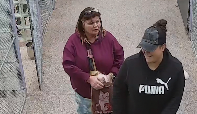 WE NEED YOUR HELP!!!

The Pennsylvania SPCA is seeking the public’s help identifying the individual(s) who stole a puppy from the organization’s Philadelphia headquarters today, Sunday, May 8.