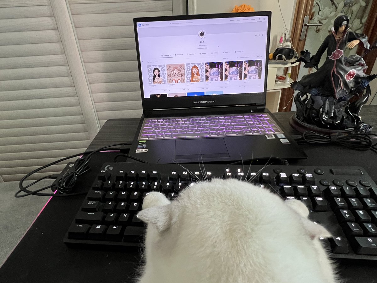 LiFeng9545's tweet photo. 来自web3.0的猫咪🐱 https://t.co/m294R9wnaI