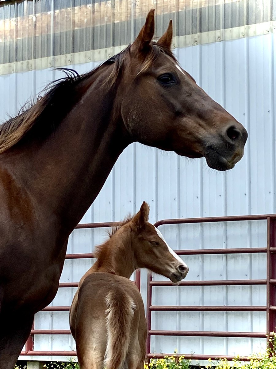 The best moms know they can’t protect them from everything, but they’ll do their level best while always standing behind them.
#HappyMothersDay