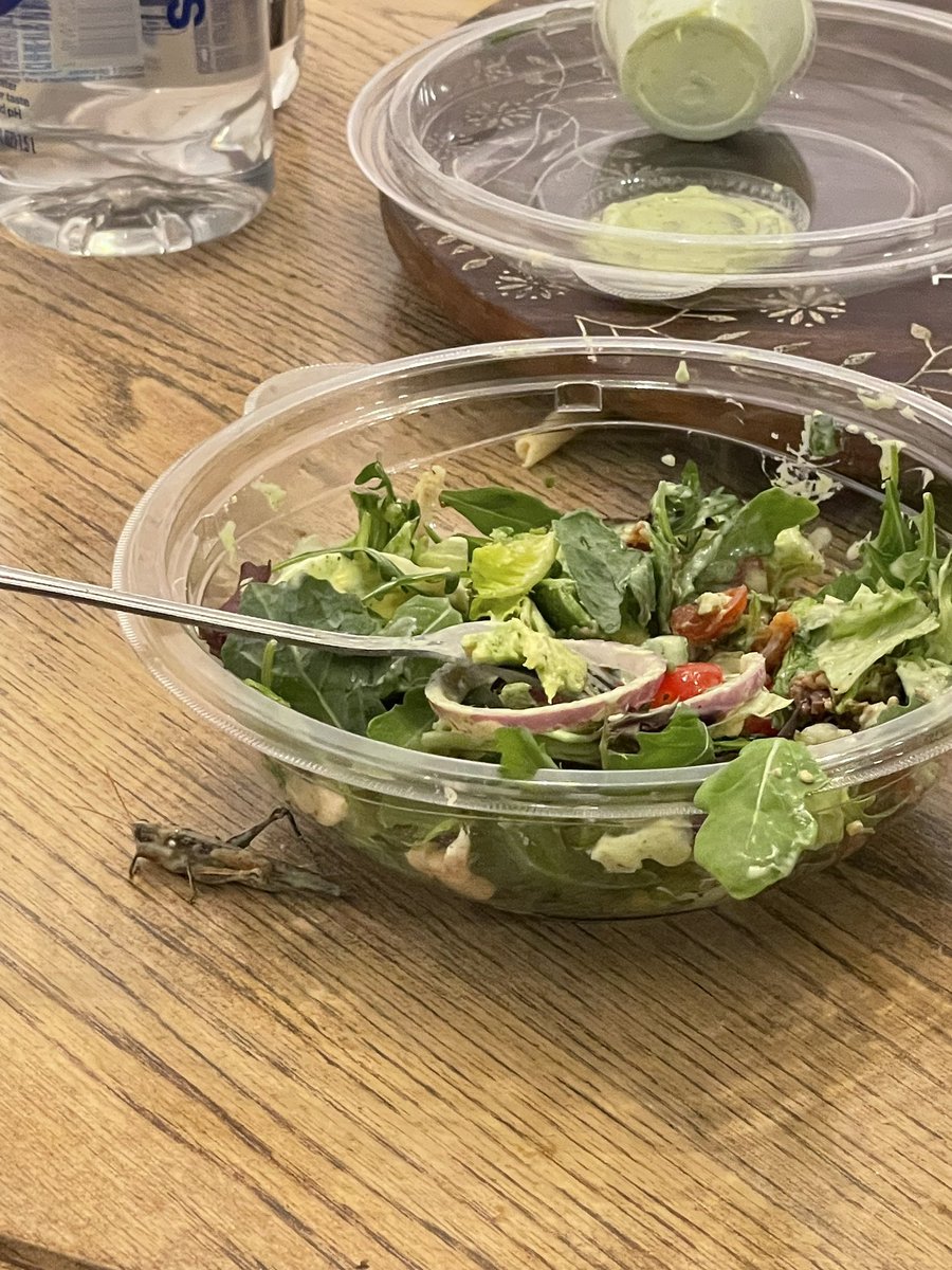 samgabriele11's tweet photo. @panerabread grasshopper in ur salads?? https://t.co/DGRfbU5ljU