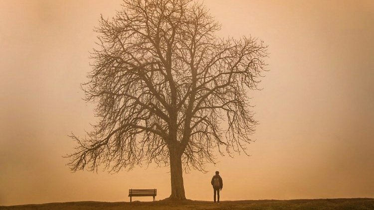 lalettayin34's tweet photo. Dünya dediğin vebâdır, devâ olmaz derdine.

| mûtenâ. https://t.co/DccPYnpibE