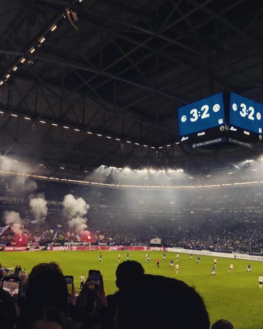 paddingtone tweet media