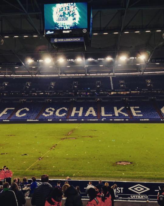 paddingtone tweet media