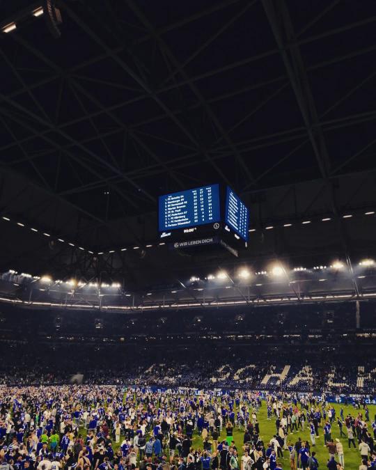 paddingtone tweet media