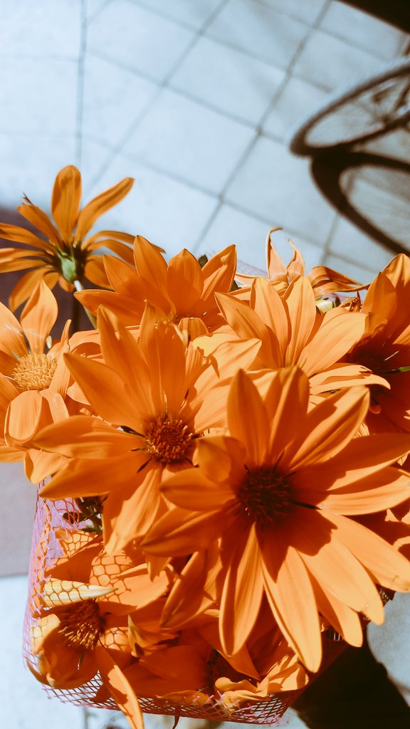 Kenan Tahta (@kenanntahta) on Twitter photo 