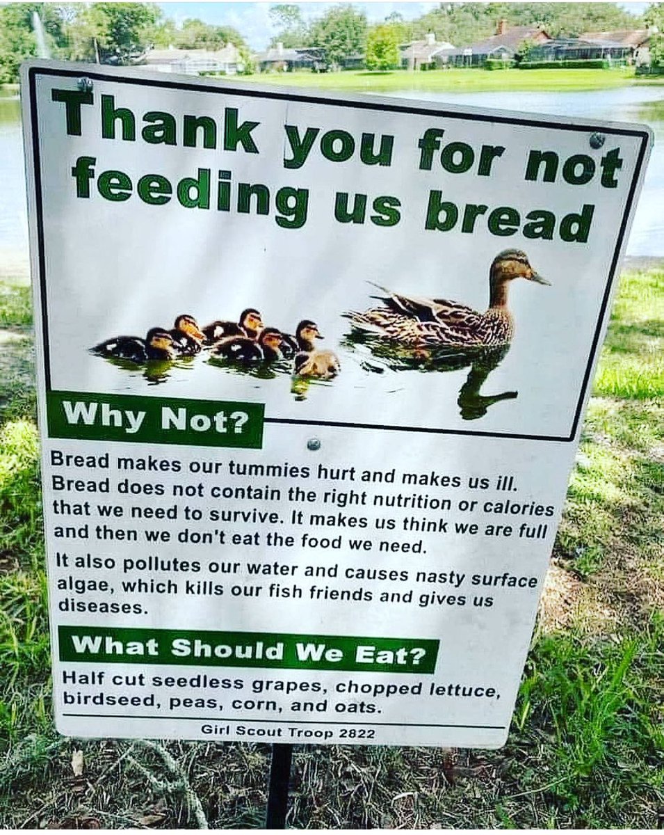 EyeAnkh's tweet photo. I love this 😊 #vegan https://t.co/Us8wsXemfd