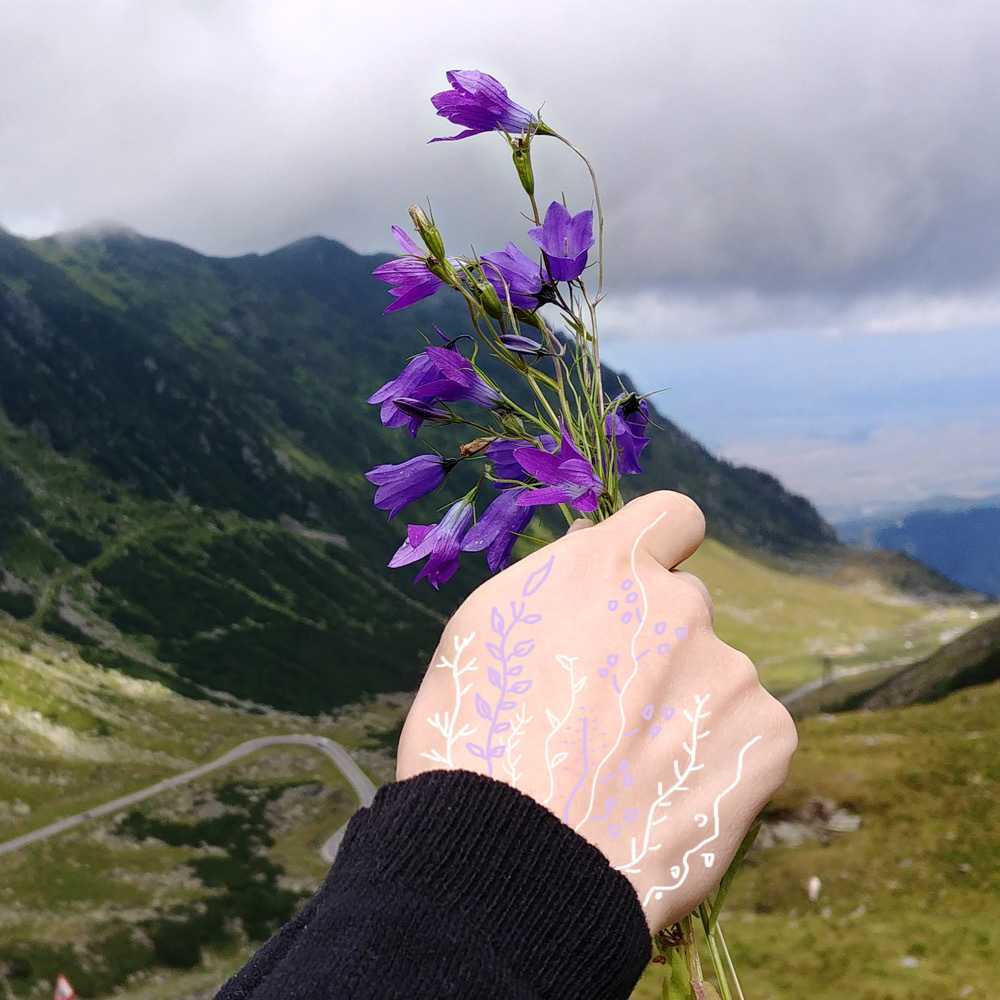 This year I intend to stop staring at mountains and start climbing them instead! I hope the #NFTCommunity will welcome me and my journey. I come with new ideas inspired by wilderness, my love for cute animals, and peace!
#NFTartwork #NFTartists #nftart #cryptoart #WomenInCrypto