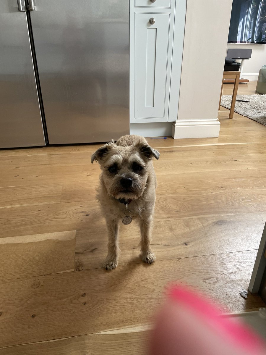 Pals, I’m in big trouble for eating a toad 🐸 and then trying to go back for a second one 😈
