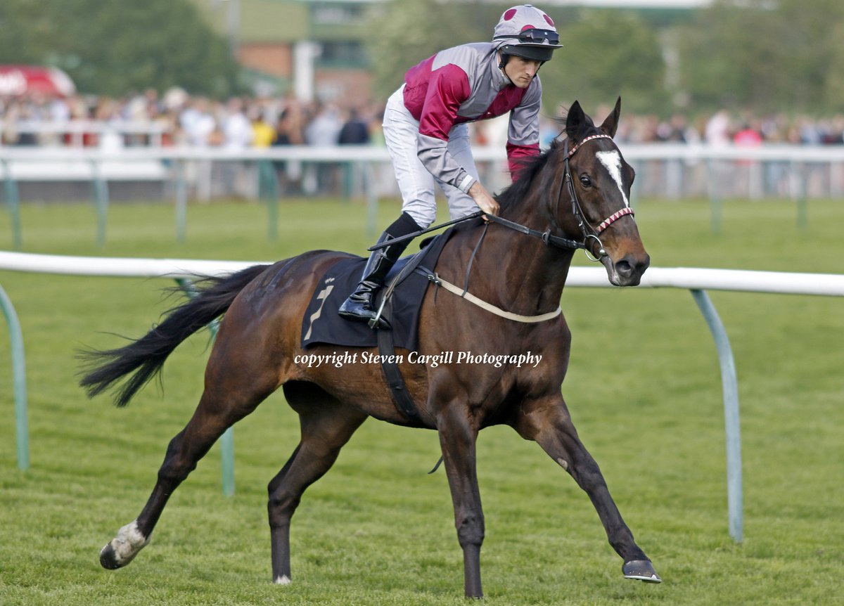Steven_Cargill's tweet photo. 3rd win for 6yo g PLEDGE OF HONOUR (Shamardal) @BennettC94 in 10f handicap @NottsRacecourse yesterday for owner / trainer Dean Ivory https://t.co/idqCO4cjLq