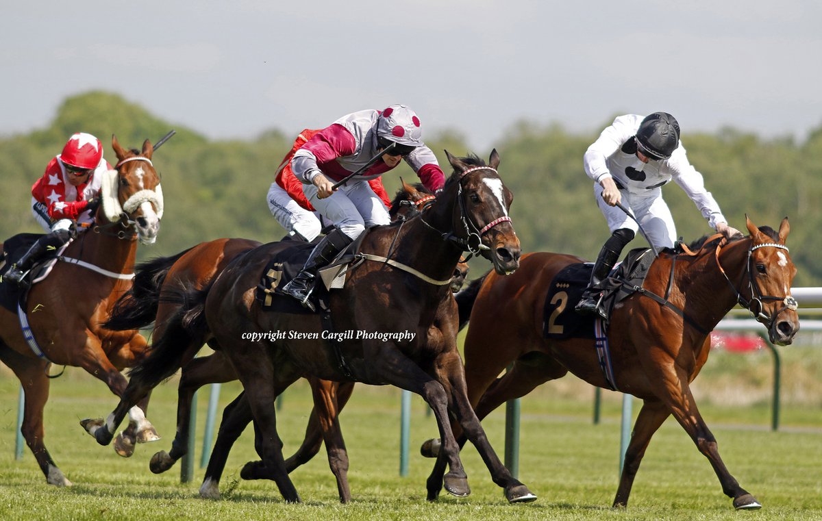 Steven_Cargill's tweet photo. 3rd win for 6yo g PLEDGE OF HONOUR (Shamardal) @BennettC94 in 10f handicap @NottsRacecourse yesterday for owner / trainer Dean Ivory https://t.co/idqCO4cjLq
