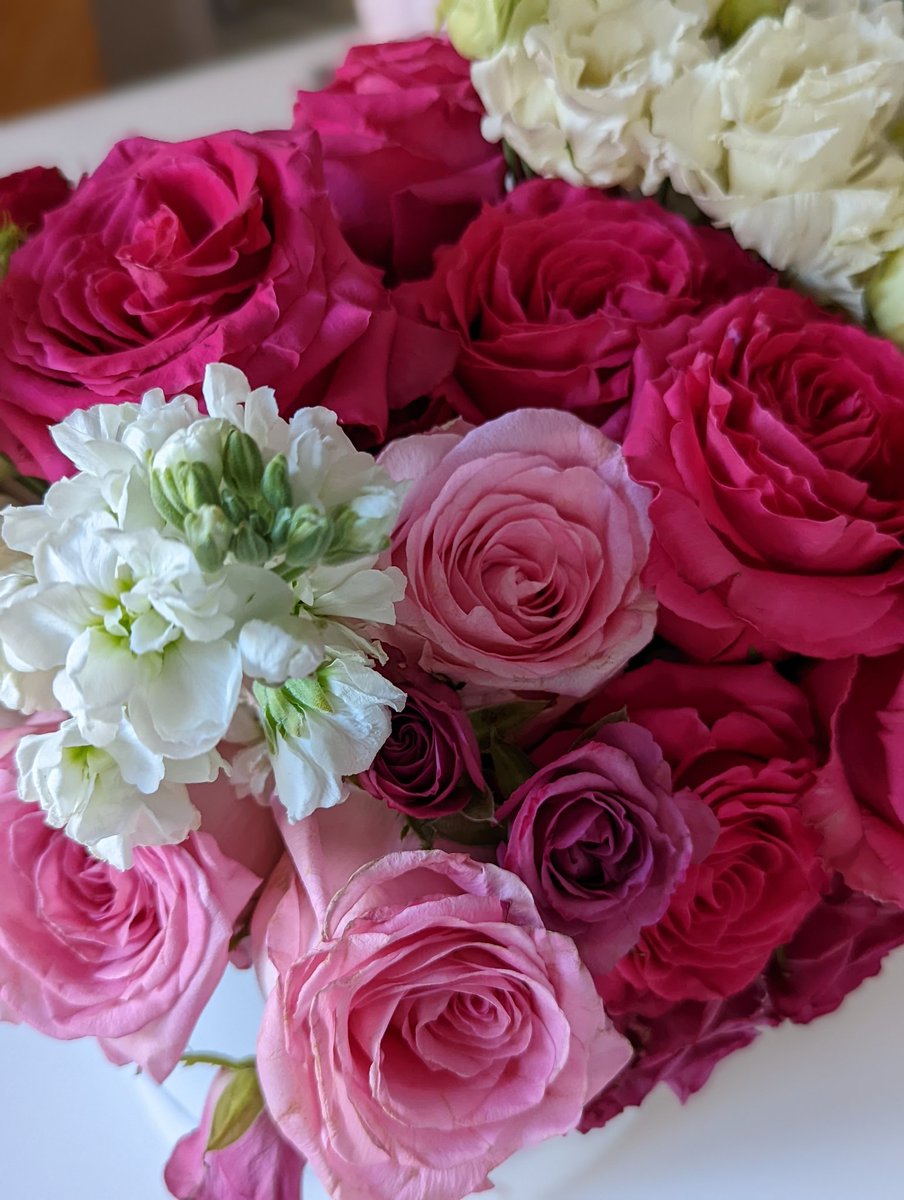 GiselKordestani's tweet photo. Today is Mother's Day here 🇺🇸 I'm feeling grateful to have the freedom to raise my children as I choose. Even with all the political and economic issues we have, I believe we are so fortunate to have peace, democracy and equality. I wish the same for all around the world. 💐 https://t.co/wHnjN7pFnd