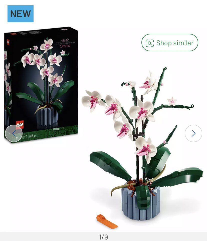EllAcnh's tweet photo. Treating myself to one of these but I need help deciding which one I should get!?
I can’t choose✨#lego #winniethepooh #legoflower https://t.co/Rm9wiECg9D