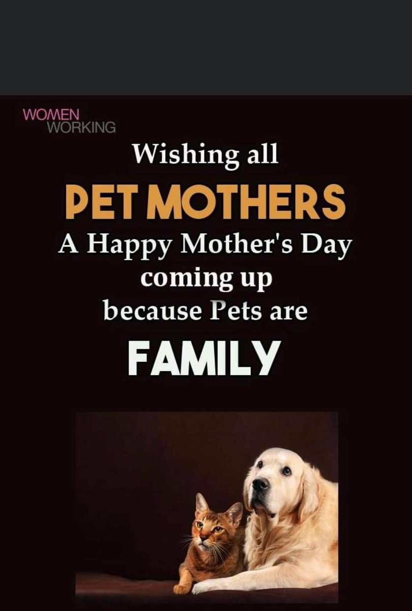 petsngroom's tweet photo. https://t.co/fT21Icdz5C