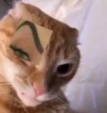 Thalia. (@fuckleech) on Twitter photo 