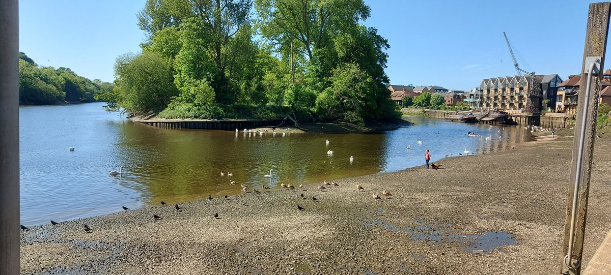 madfamily75's tweet photo. #ThamesPathWellnessWalk
#UnconfinedWalks 
Completed the 10 miles for Diabetes UK 😄https://t.co/Ss945KjZGD https://t.co/x9sAaXFrQS
