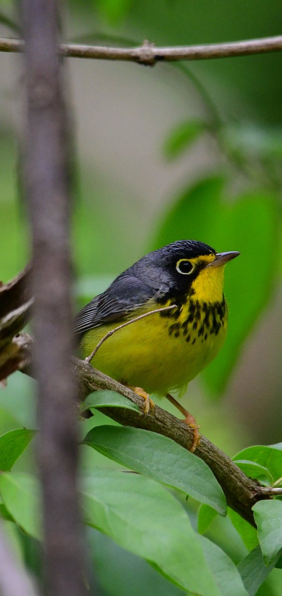 Eric Titcomb tweet media