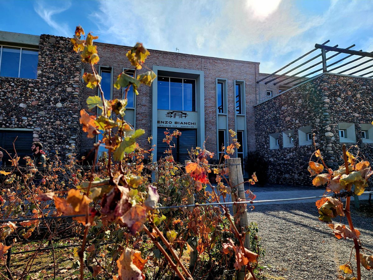 eldestape_radio's tweet photo. 🍁🍂 NO SE PUEDE CREER ESTOS COLORES🍂🍁

Seguimos recorriendo la tierra del buen vino en este recorrido federal🍷 

Gracias @BodegasBianchi por invitarnos a visitar su viñedo y a conocer sobre la vid y el proceso de elaboración y crianza de sus vinos🍾

https://t.co/da14gj9zrW https://t.co/K0p4P45aJV