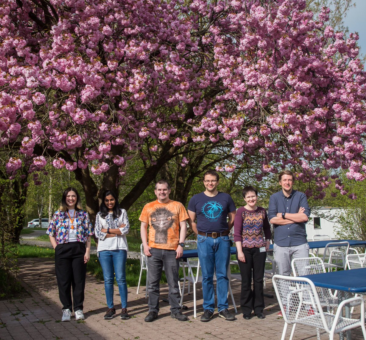 Our latest imaging experiment: enjoying spring together with beautiful cherry blossom tree at <a href="/mpi_nat/">MPI for Multidisciplinary Sciences</a> 

#spring #cherryblossom #Pink #imaging #photography #SAKURABLOOM