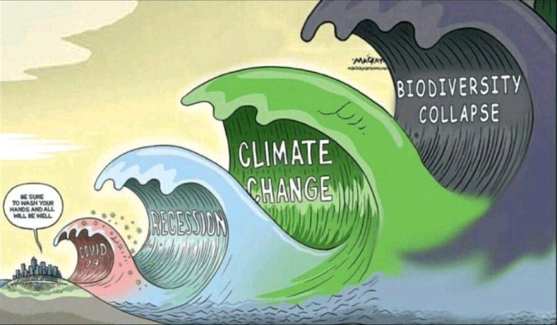 TabiJoda1's tweet photo. The #climatecrisis is getting worse yet some people deny it.. https://t.co/C11LJzxADF