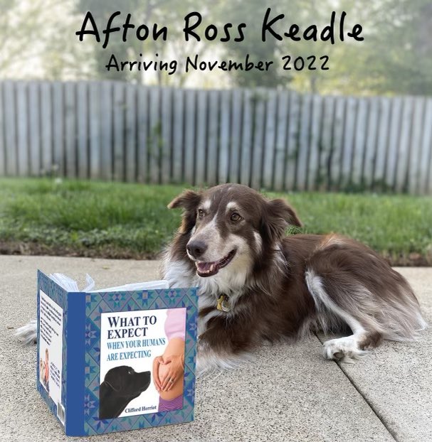 jackkeadle's tweet photo. This Mother’s Day hits a bit different. Introducing Afton Ross Keadle, coming November 2022! https://t.co/n7wWMz24TN