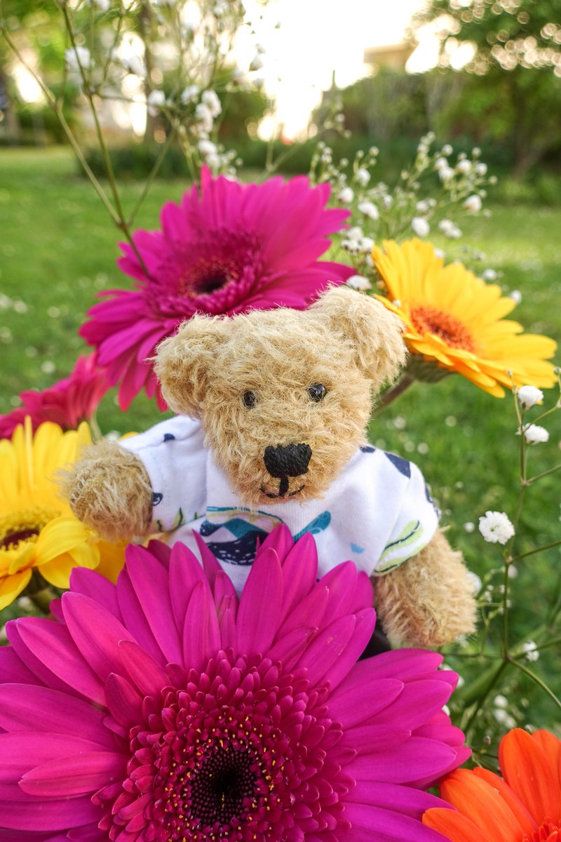 Happy Mother's Day 💐