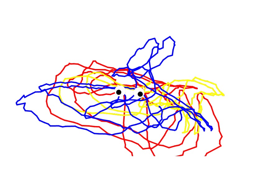Jacq_GLIM060's tweet photo. It is an awesome experience in creating artwork using the eyes and neck movements.@ArtsAgeingNTU #ag6309wk10AY21T3 #Inclusiveness #digitalart https://t.co/ghwRZcUlrW
