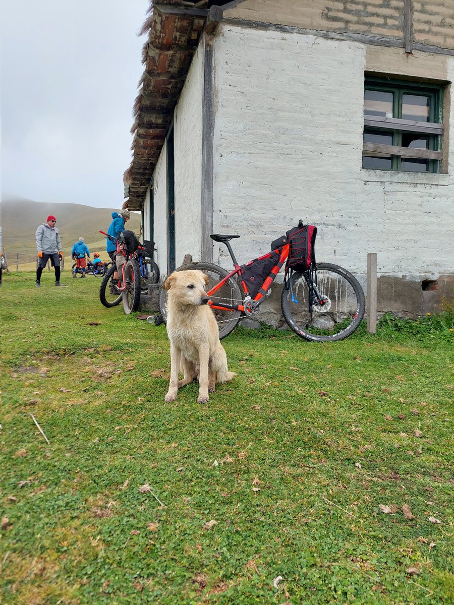 Andres_car's tweet photo. Vuelta al Cotopaxi ......
@tierradelvolcan @CIKLAECUADOR
#benelli #pumptrack #mtb #mtblife  #mitas  #cucobikesadventure #cucobikes #generandociclismo #benellibike #bbike https://t.co/jwCyWWWJiv