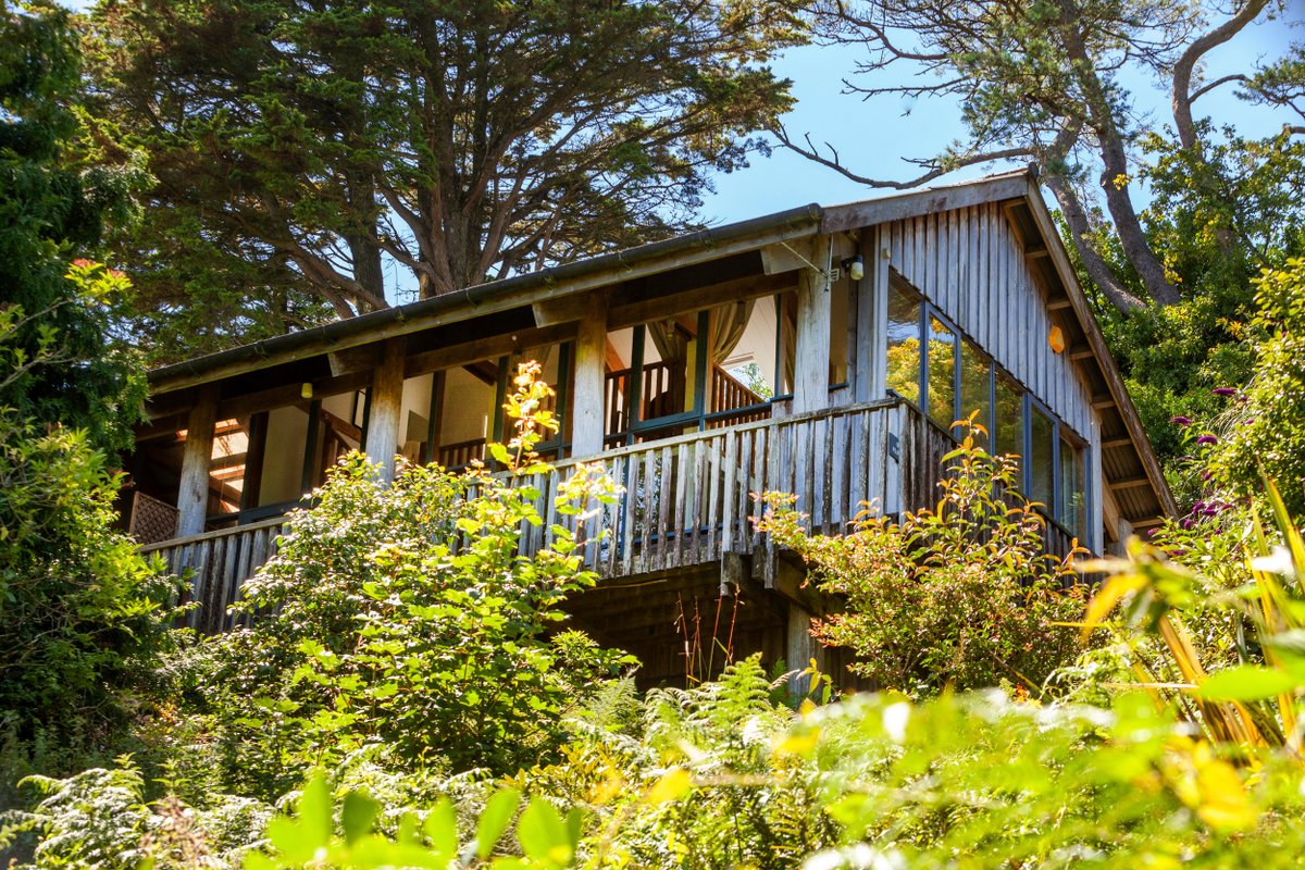 Hidden_Hideaway's tweet photo. Last Minute availability of our Treehouse nr. PZ &amp; St Ives from 9 May for 4 nights, reduced rates. 
PM for details https://t.co/hOryZlkjZ9