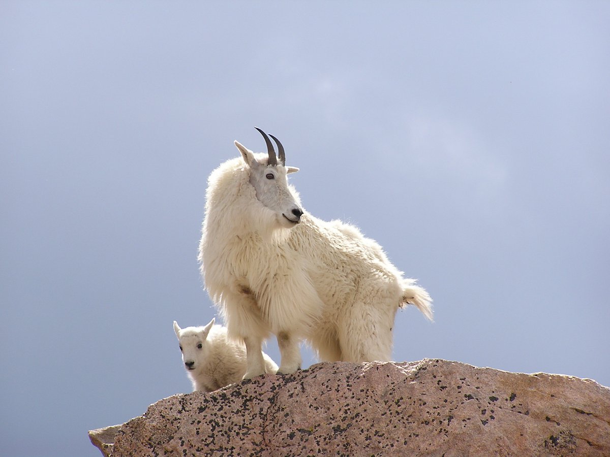 They happiest of #MothersDay wishes to all the moms out there no matter how many legs you have!!