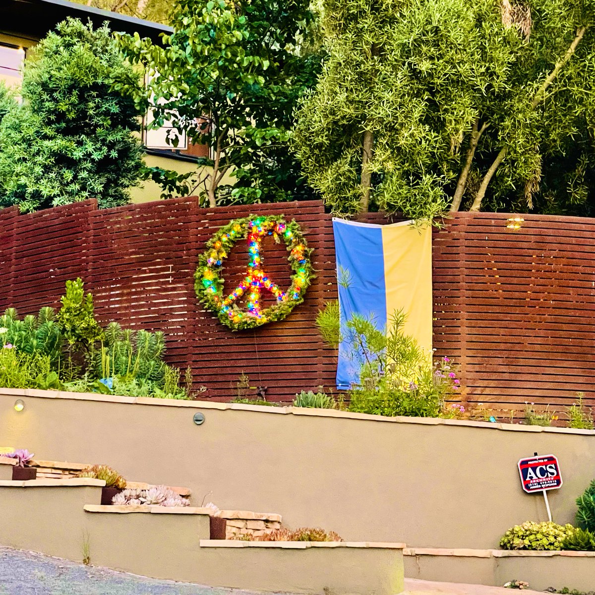 🎬hollywood ambassador 🍸 tweet media