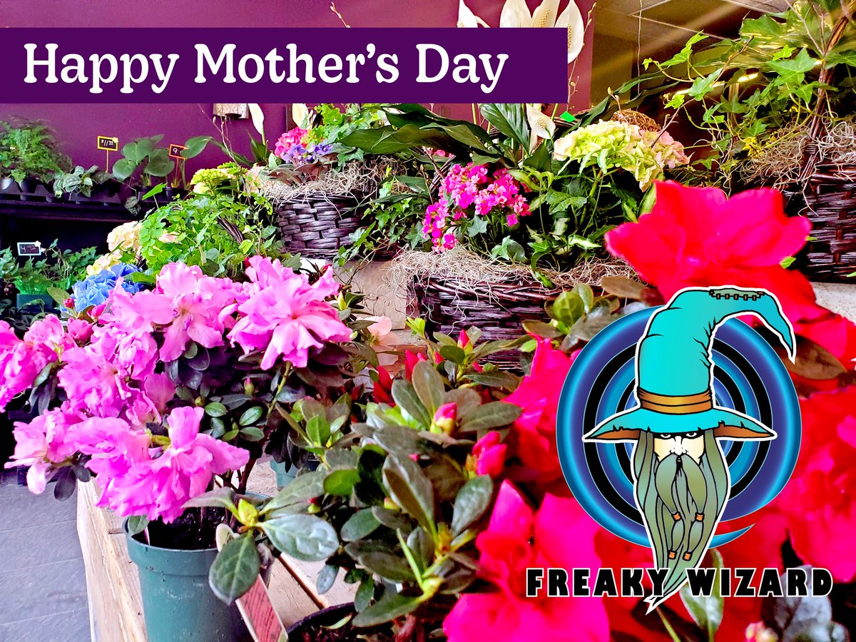 freaky_wizard's tweet photo. Happy Mother's Day! Thank you to all the moms that stop in our store so frequently for coffee, treats, and family fun. We still have a few flowers left. Stop in to get one. 

#freeflowers #mothersday #freegaming #familyactivities https://t.co/qF5dACXQ1Y