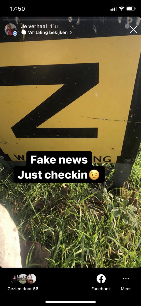 Majanne Wigbers tweet media