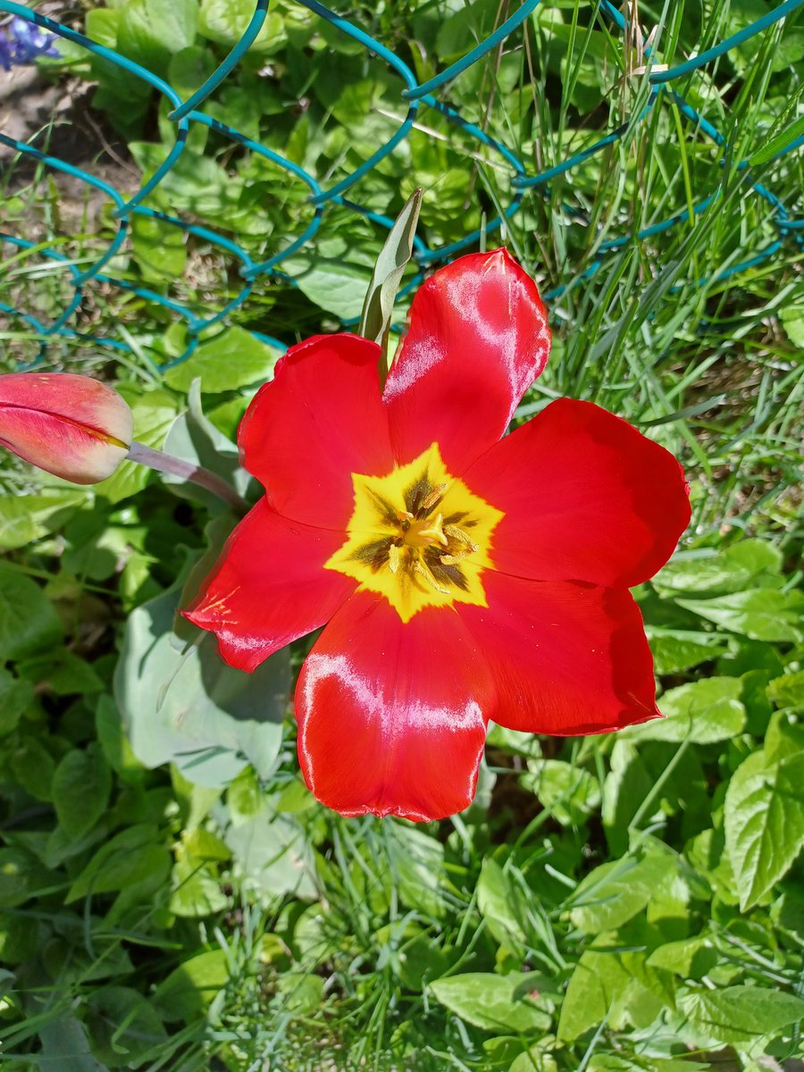 joeltaylor412's tweet photo. What a gorgeous day it's turned out to be. Happy Mother's day to all! https://t.co/r3kxlU64HU