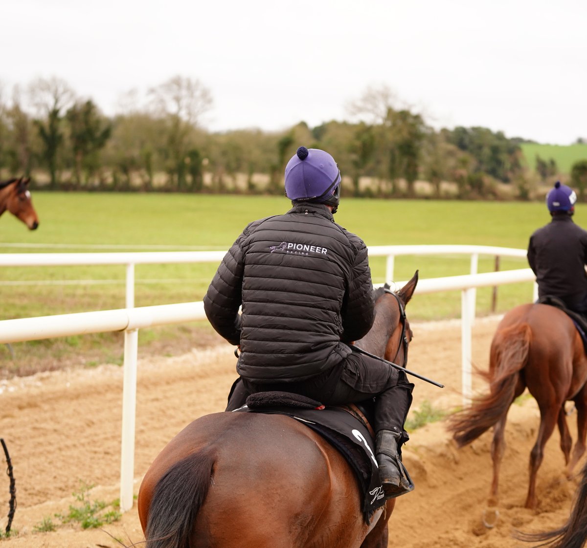 PioneerRacing_'s tweet photo. 𝑹𝒂𝒄𝒆𝒉𝒐𝒓𝒔𝒆 𝑶𝒘𝒏𝒆𝒓𝒔𝒉𝒊𝒑
Get involved toward
💥 Race days when your horse runs, Owners &amp; Trainers badges
💥 Horses in training with top trainer @gelliott_racing
💥 Owners Mornings
💥 A great community &amp; place to meet new people
https://t.co/Vz33qkOic4 https://t.co/aUMIGampZc