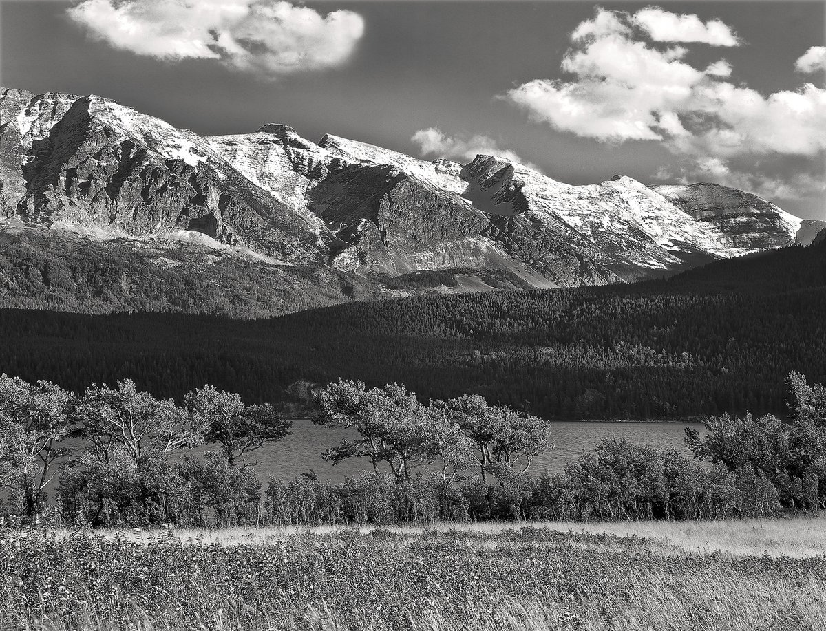 BruceHeinemann's tweet photo. Happy Mother's Day. Here is a collection of some of my monochrome images.

“Abstraction allows man to see with his mind what he cannot see physically with his eyes. It is the emancipation of the mind. It is an exploration into unknown areas.” 

― Arshile Gorky https://t.co/HuYSQtRfFW
