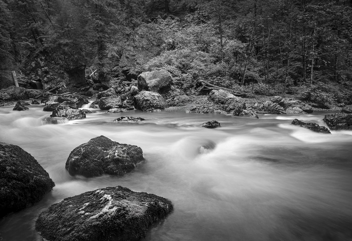 BruceHeinemann's tweet photo. Happy Mother's Day. Here is a collection of some of my monochrome images.

“Abstraction allows man to see with his mind what he cannot see physically with his eyes. It is the emancipation of the mind. It is an exploration into unknown areas.” 

― Arshile Gorky https://t.co/HuYSQtRfFW