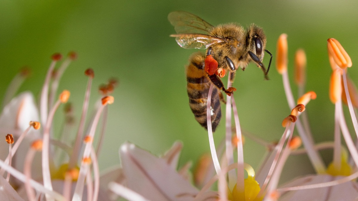 Biodynamic wines, at normal prices! 
Wonderful intense, juicy fruit flavours 🍓🍇🍒 - mailchi.mp/b70a2c80057c/w…